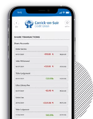 View Account Balances  and Transactions